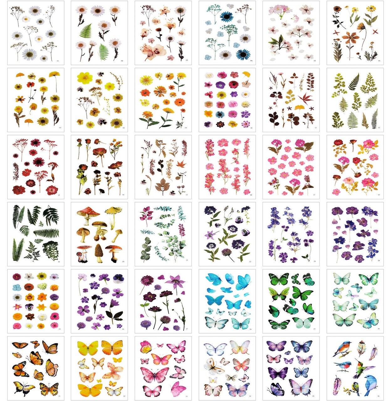 Wrapables Pressed Flower Themed PET Stickers for Scrapbooking, Junk Journals, Stationery, Card Making, DIY, Arts and Crafts, Water Bottles, Phones, Laptops (480pcs), 36 Sheets